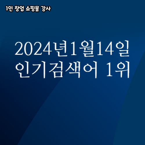  2024년 1월 14일 네이버쇼핑 분야별 인기 검색어 1위