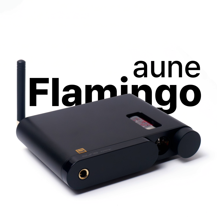  aune Flamingo 진공관 DAC/AMP 리뷰 :: 손바닥보다도 작은, 진공관 교보재