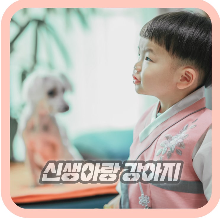  신생아랑 강아지 고양이 함께 키우면 좋은점