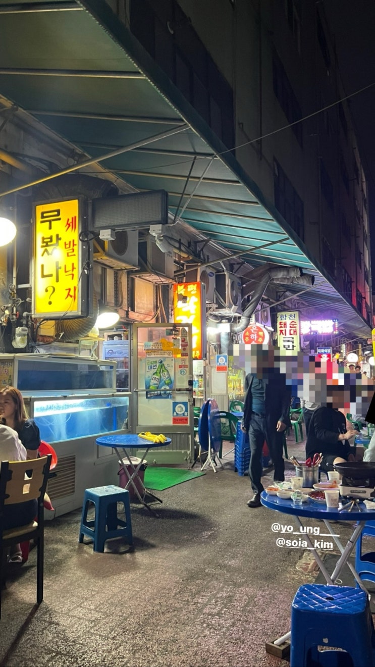 부산 조방 진시장 노포맛집 낙지호롱이/연포탕 무봤나 세발낙지