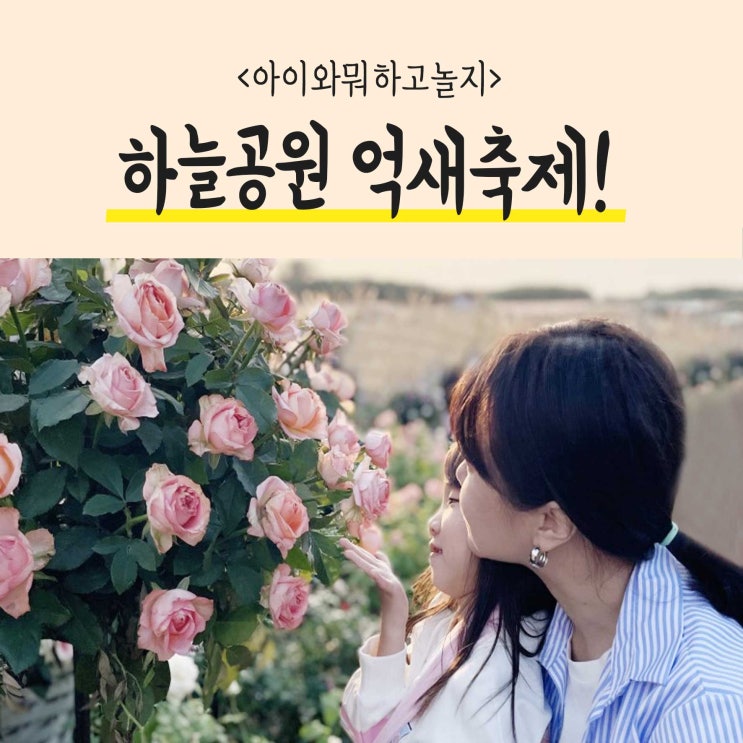  피크닉가요 아이와 바깥놀이 2023 하늘공원의 억새축제! 행사안내와 후기