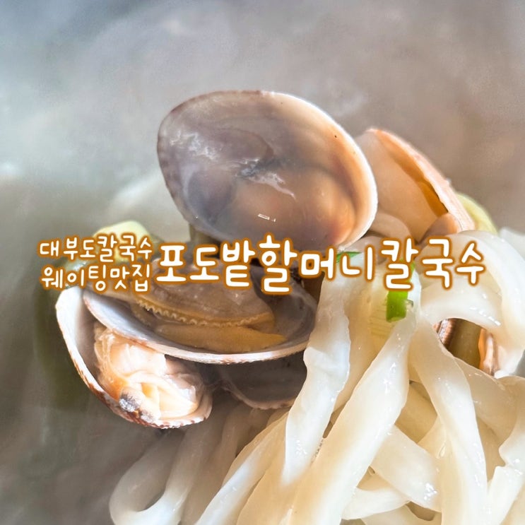  대부도 칼국수 맛집 포도밭할머니칼국수 내돈내산 후기
