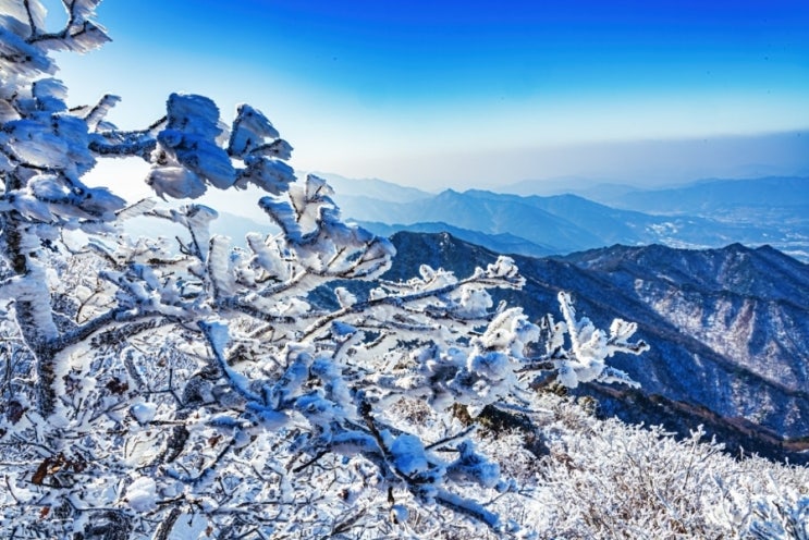1월 15일 뉴스 브리핑
