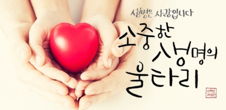 위기임신 긴급지원사업 아기들을 보호하는 생명의 미혼모자가족복지시설 대전자모원 위기임신 긴급지원사업 아기들을 보호하는 생명의 미혼모자가족복지시설 대전자모원