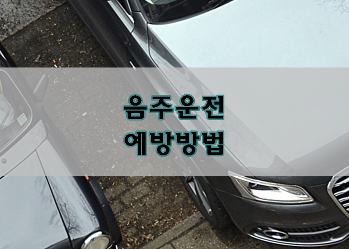  음주운전 예방 술 마시기 전이 중요한 이유