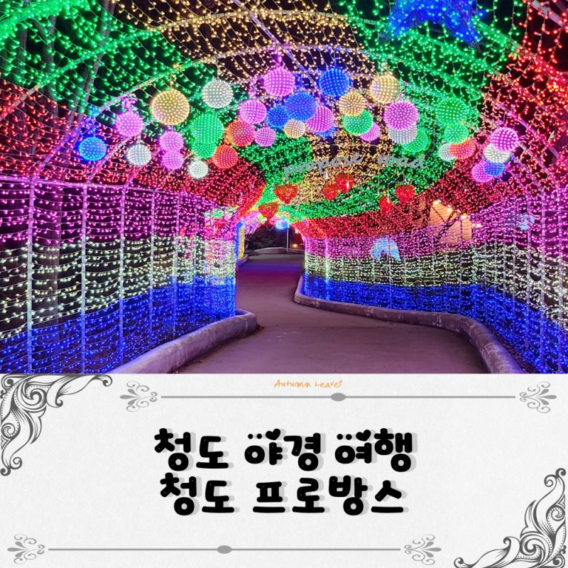 청도 프로방스 빛축제 눈썰매 청도여행 후기 (입장료, 할인정보)