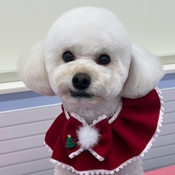 사진 3