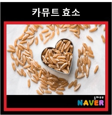 카뮤트 효소 효능 다이어트 및 카무트 성분 칼로리 부작용