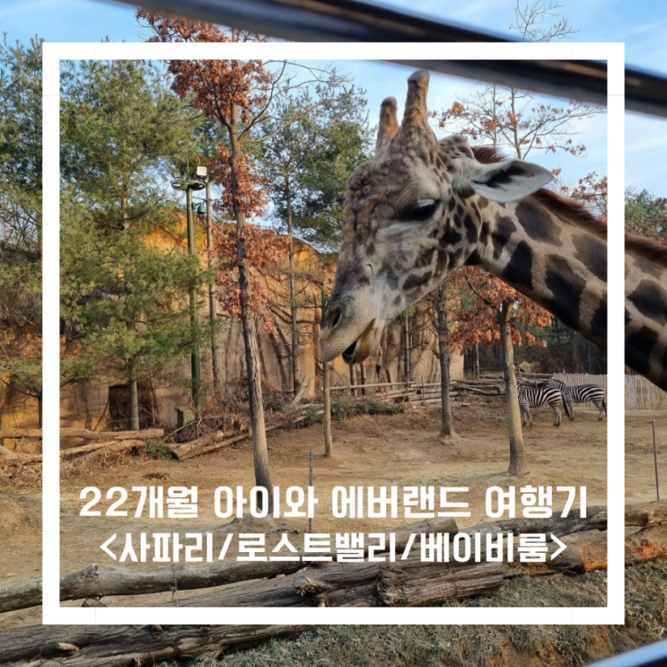  22개월 아기와 다녀온 에버랜드 여행기 2탄<사파리/로스트밸리/공연/베이비룸>