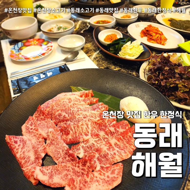 온천장 맛집 해월 (feat. 한우 한정식 동래소고기 회식장소 )