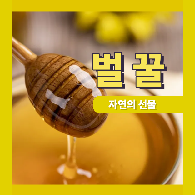  벌꿀 축복받은 자연의 선물