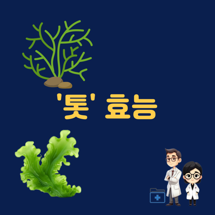  톳 효능 우뭇가사리 해초 효능 해조류