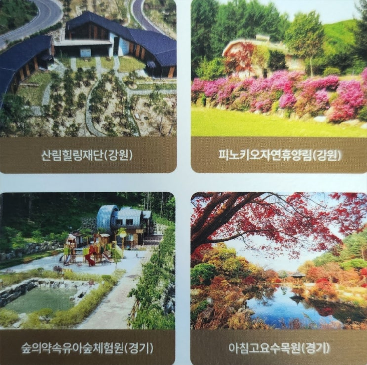 산림복지서비스이용권 지원금액, 사용안내, 신청대상 방법 산림복지서비스이용권 지원금액, 사용안내, 신청대상 방법