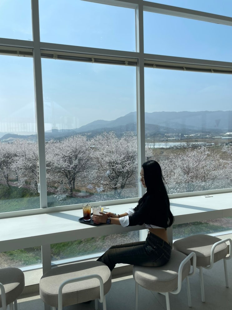  [전주/평화동] 밤에도 이쁘지만 봄에는 꼭 가야하는 카페  “삼천빌리지 카페 삼천”