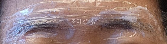  눈썹문신 후기/탈각과정 2주차/종류/가격