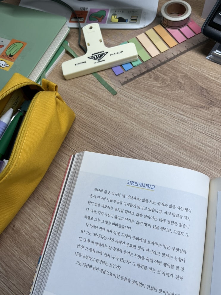  콩이 근황 행복하자 아프지망고