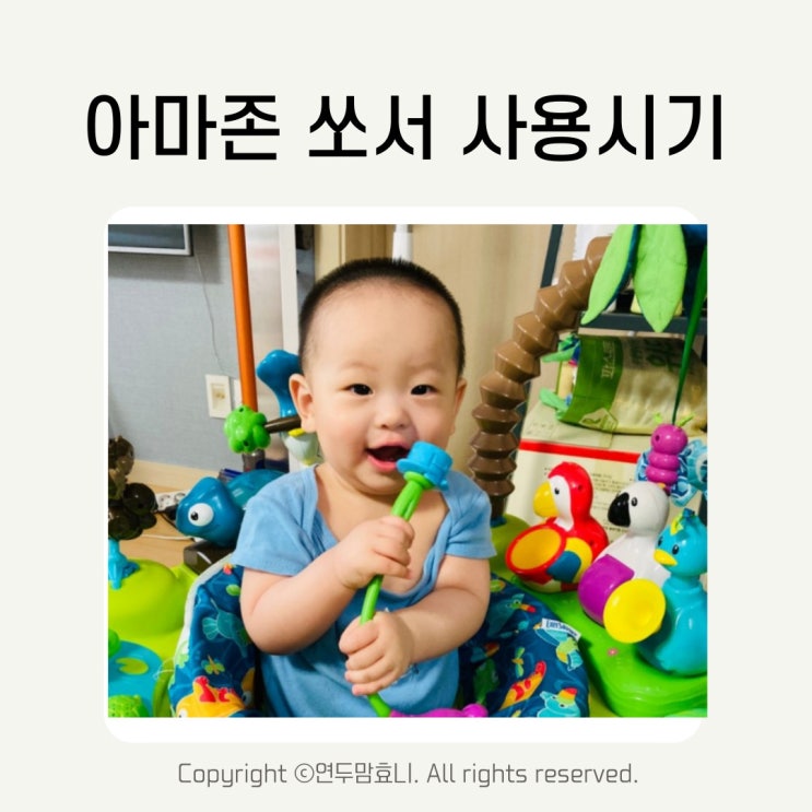 아마존 쏘서 사용시기 분해 세척 5개월 6개월 7개월 8개월 아기 장난감 대여 아마존 쏘서 사용시기 분해 세척 5개월 6개월 7개월 8개월 아기 장난감 대여