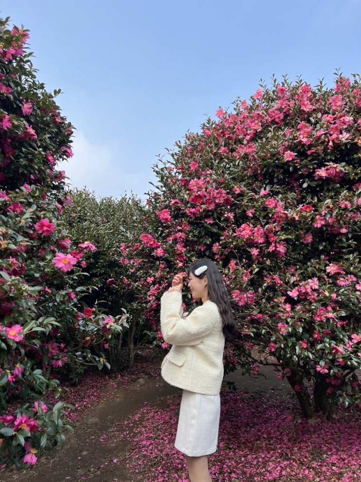  [제주도] 겨울 맛집투어 여행