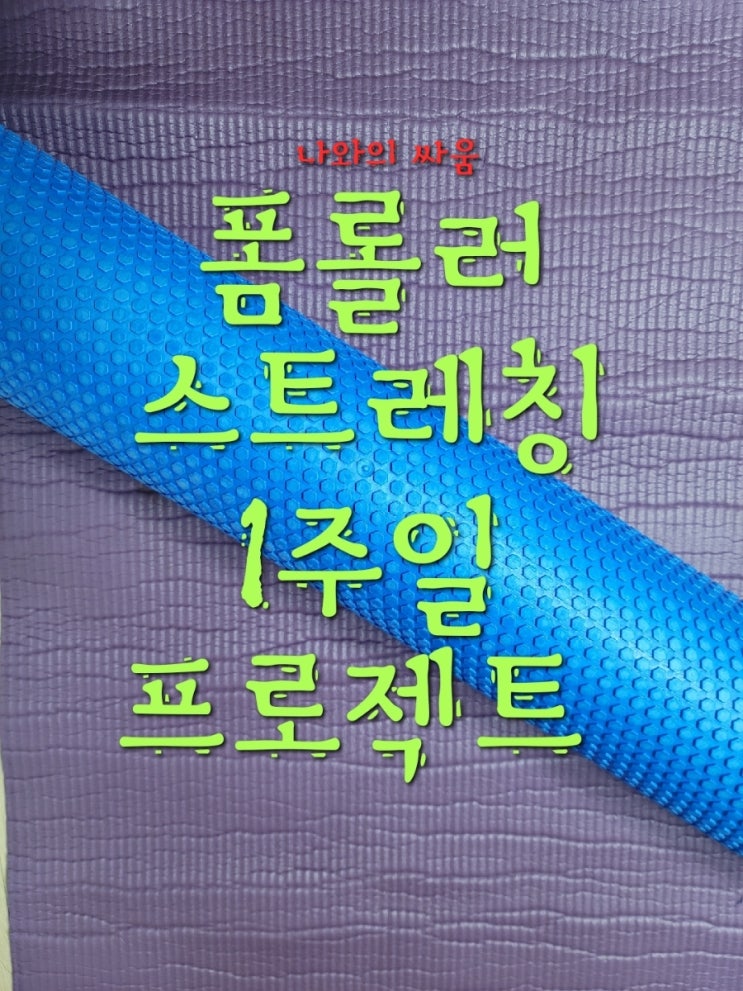 (폼롤러 스트레칭) 혼자 하는 건강챙기기 1주일 프로젝트  ㅎㅎ