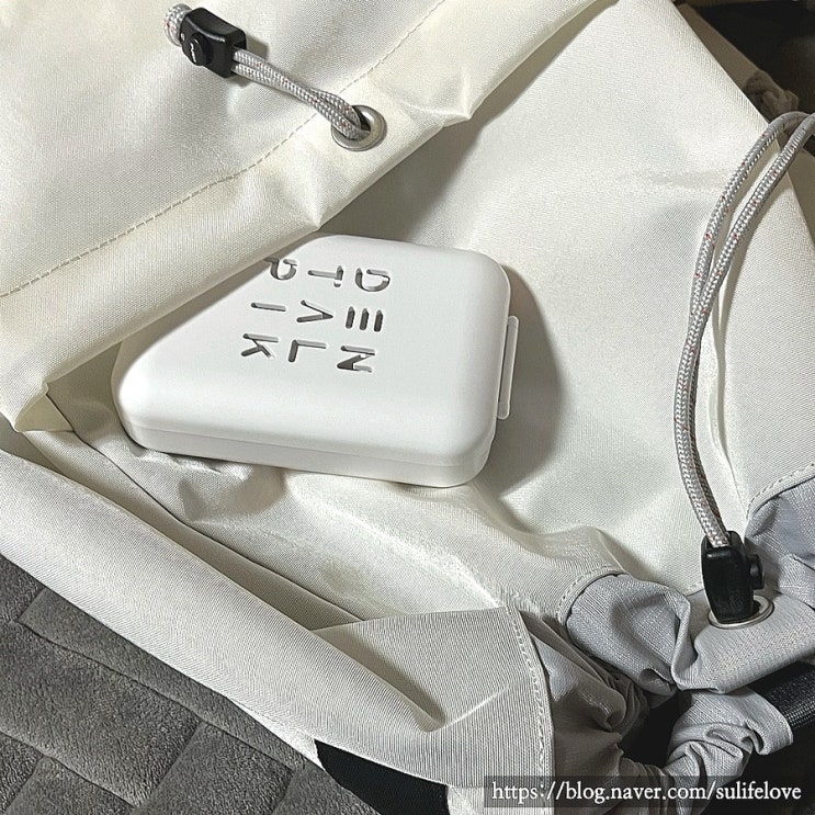  음파 전동칫솔 덴탈픽 DP-9100 편리한 휴대용 칫솔 후기