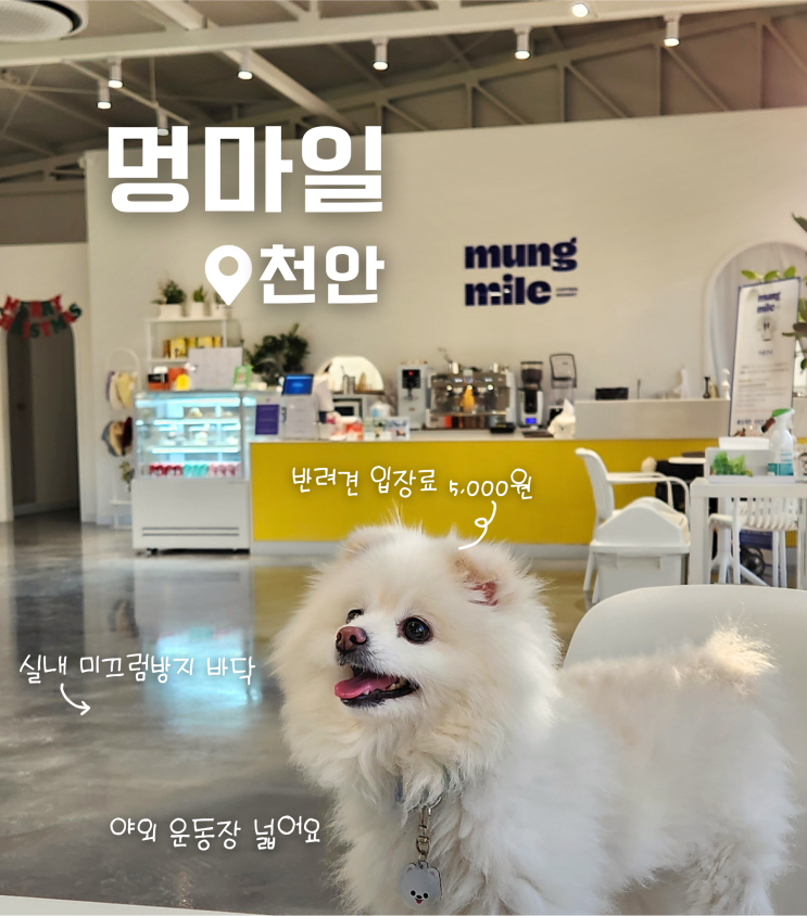  천안 아산 운동장 넓은 애견 카페 멍마일 후기
