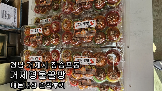 [거제 장승포 여행] 숨겨진 맛집, 거제명물꿀빵 내돈내산 솔직후기 포장후기