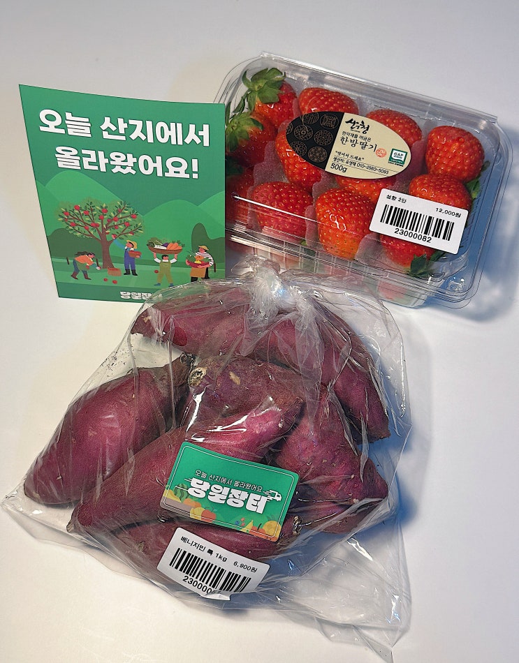  잠실 송파역 24시간 무인 과일가게 당일장터 1호점 딸기 군고구마 구매한 후기