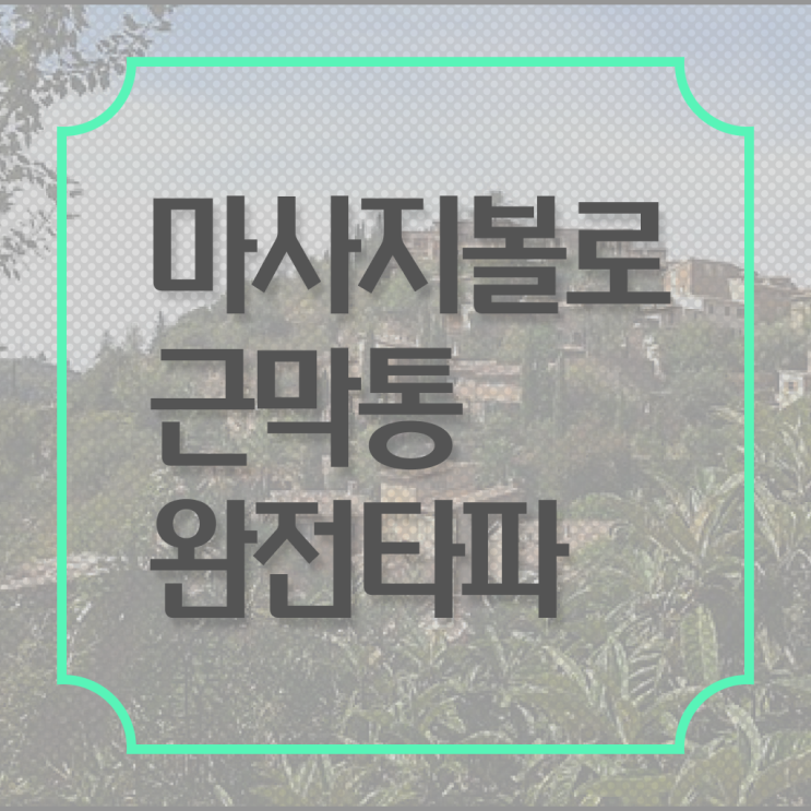  Check ! 허리 마사지볼 사용법 ?
