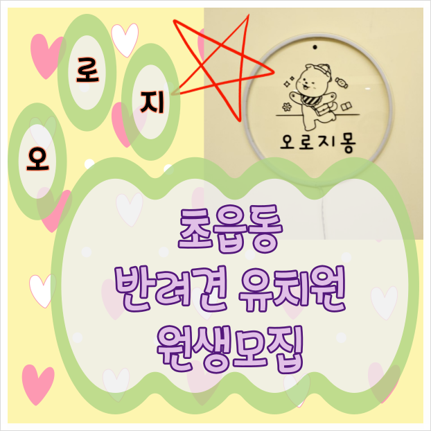  오로지몽 초읍동 애견유치원, 애견호텔, 애견놀이방 원생모집 반려견놀이터, 원생모집중