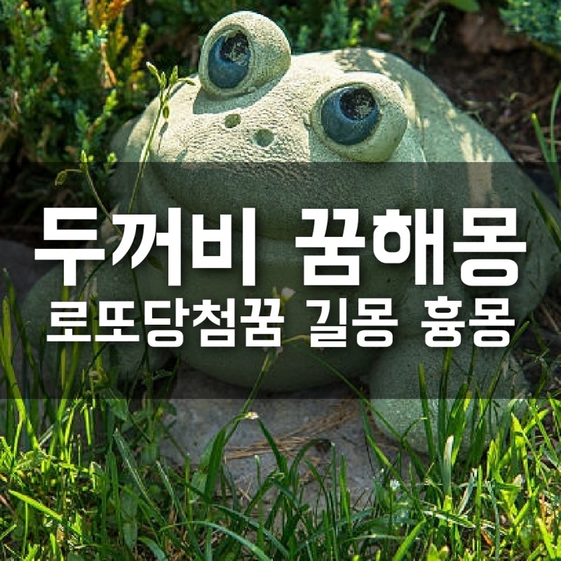두꺼비 꿈해몽 로또당첨꿈 두꺼비가 무는 꿈 황금 두꺼비를 본 꿈 집안으로 들어오는 꿈 등 ....