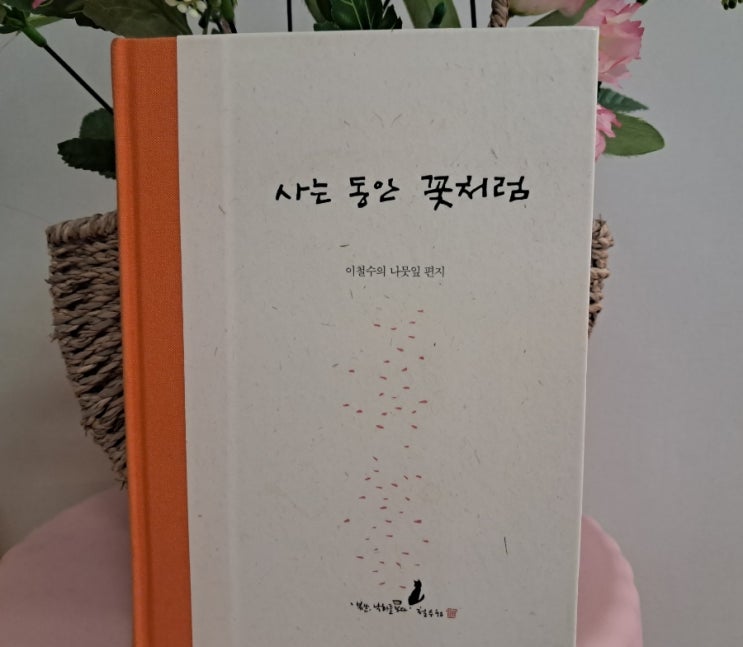 사는 동안 꽃처럼_ 호박,낮달, 마음뿐, 묵은 때 이철수 나뭇잎 편지