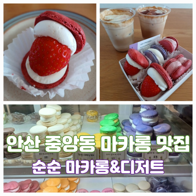 안산 마카롱 순순 마카롱&디저트 중앙동 부담없는 디저트 맛집 안산 마카롱 순순 마카롱&디저트 중앙동 부담없는 디저트 맛집