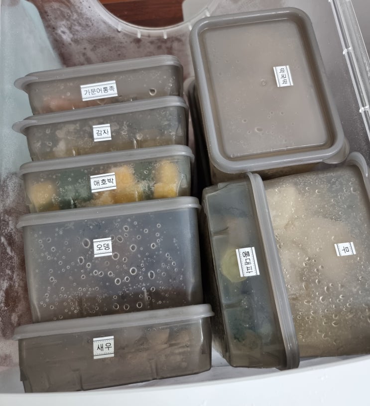  땡스소윤 냉동실 정리 용기 최대용량 내돈내산 후기