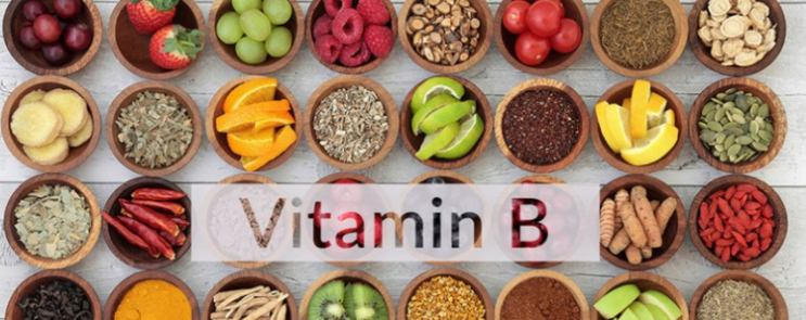 다이어트 필수 식품 비타민B