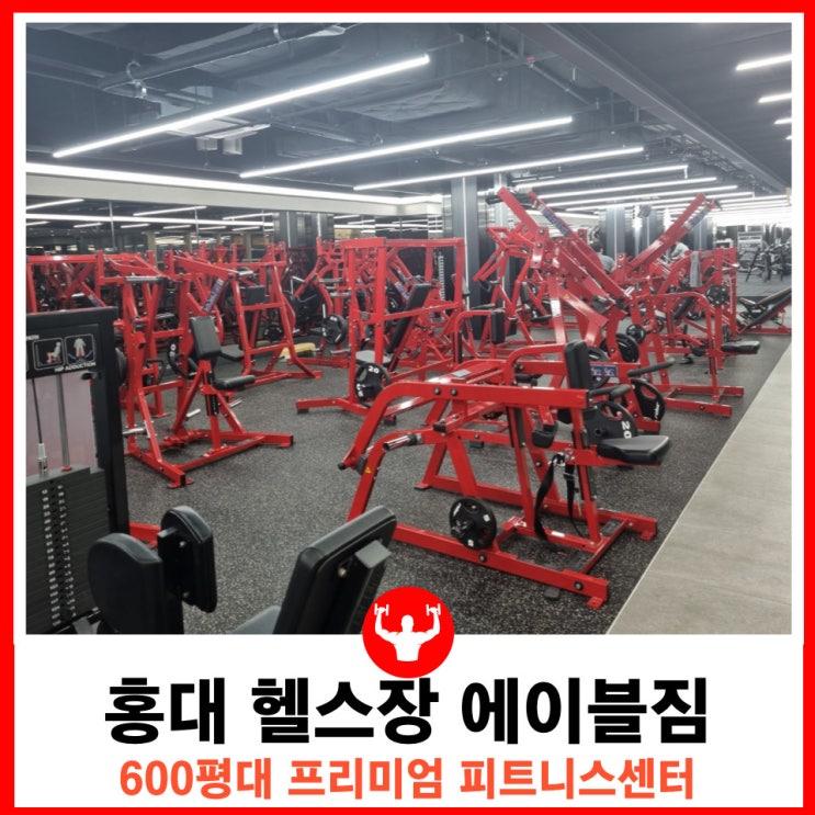  홍대입구역 PT 초대형 프리미엄 헬스장 에이블짐