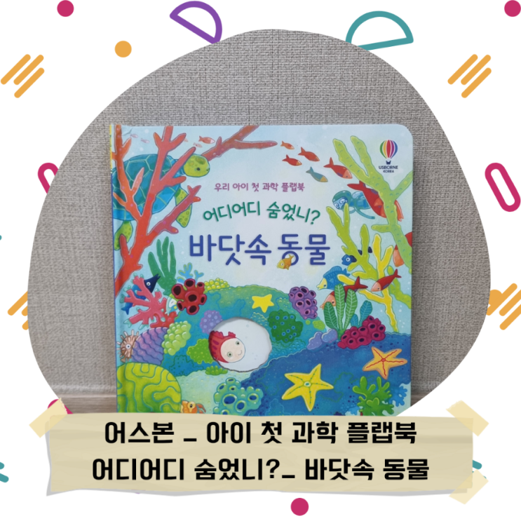  아빠가 사준 플랩북_어스본_<어디어디 숨었니?- 바다속 동물>
