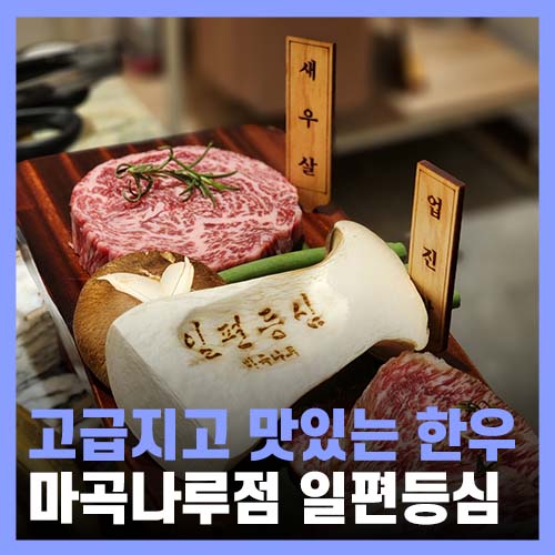  마곡나루 회식 기념일에 가기 좋은 한우 일편등심