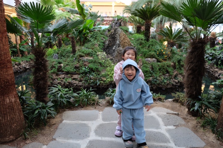 [포천여행] 아이랑 갈만한 실내 식물원이 있는 브런치 카페 팜 브릿지