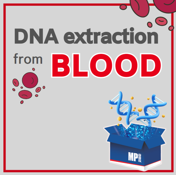 혈액으로 부터의 DNA 추출 문제 해결 (Blood DNA extraction)