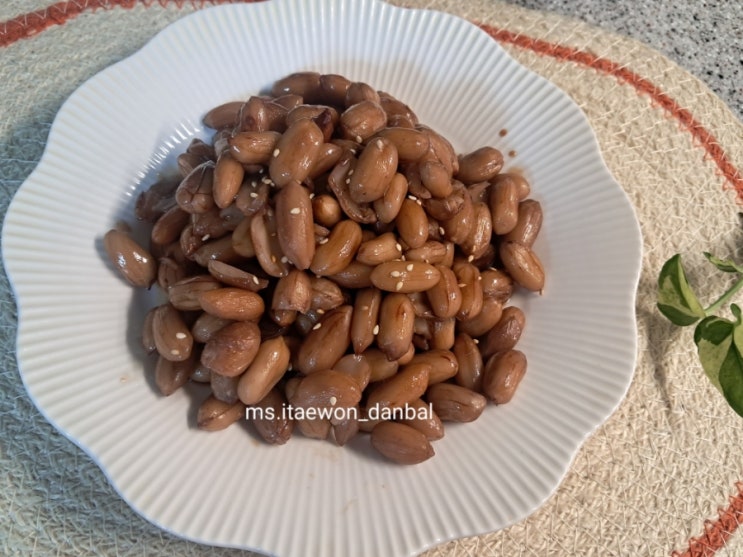 생땅콩 조림 땅콩조림 땅콩효능 땅콩 삶는법 생땅콩 조림 땅콩조림 땅콩효능 땅콩 삶는법