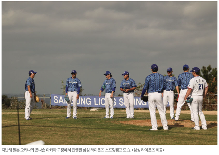  삼성 라이온즈, 올해도 1·2군 함께 스프링캠프 진행…오는 30일 일본 오키나와로 출발, 영남일보, 2024-01-15 17:06