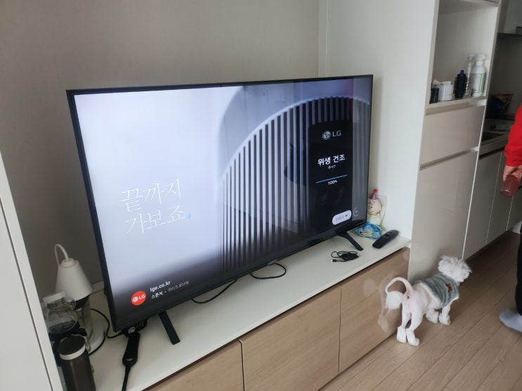  엘지 55인치 티비 화면 파손되어 현장에서 TV 패널 교체 작업입니다
