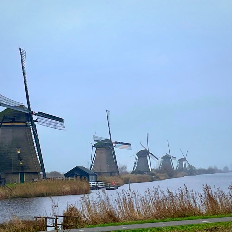 #240118 네덜란드 여행 - 로테르담 근교, 킨더데이크 Kinderdijk
