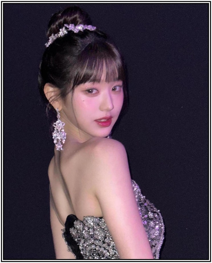 아이브 <b>장원영 탈덕수용소</b> 승소 1억원 <b>손해배상</b> 유튜버 박씨... 