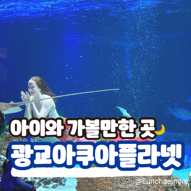  광교 아쿠아플라넷 주차 / 인어공주 후기 및 공연시간 안내