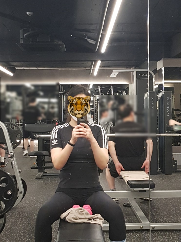  1~6) 새해 맞이 다시 시작해 보는 운동