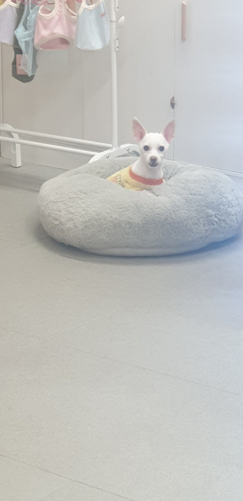 사진 9