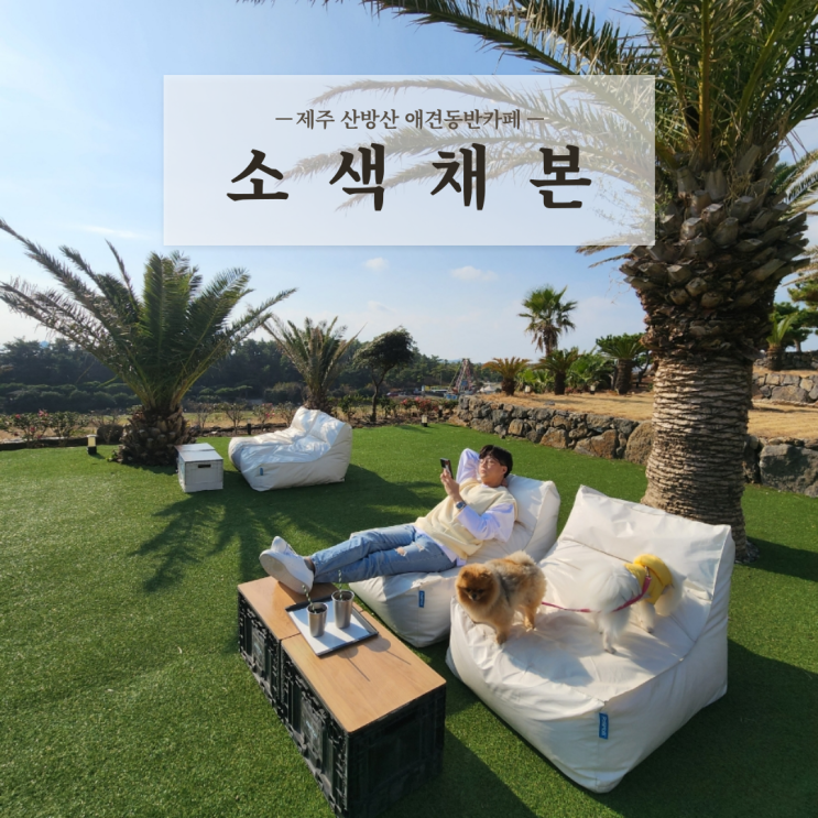  제주 산방산 카페 소색채본 마운틴뷰 오션뷰가 멋진 용머리해안 근처 애견동반카페 내돈내산
