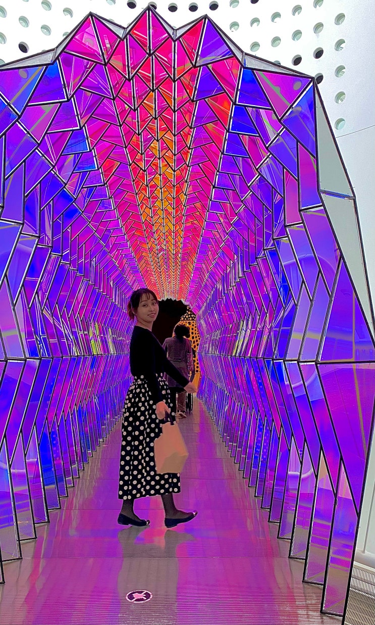  [San Francisco] 샌프란시스코 현대 미술관 SFMOMA 일반전 관람 후기 + 예약하기 + 꿀팁(2024년)
