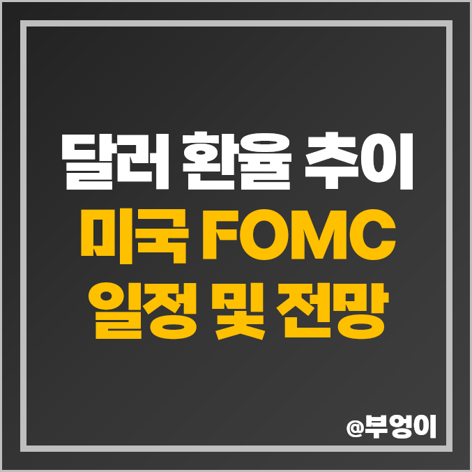 원 달러 환율 전망 1월 미국 연준 FOMC 일정 기준 금리 인하 예상 원 달러 환율 전망 1월 미국 연준 FOMC 일정 기준 금리 인하 예상